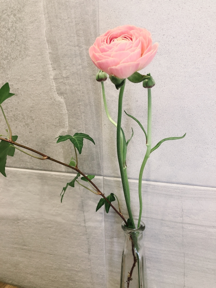 f:id:sae-n-roses:20200315104939j:plain f:id:sae-n-roses:20200315104939j:plain