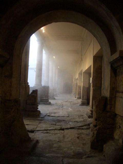 f:id:saebou:20090707061311j:image f:id:saebou:20090707061311j:image