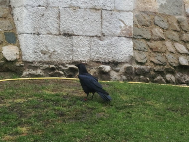 f:id:saebou:20110113203940j:image f:id:saebou:20110113203940j:image