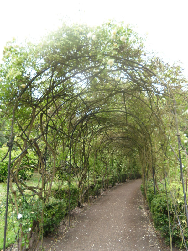 f:id:saebou:20110531121545j:image