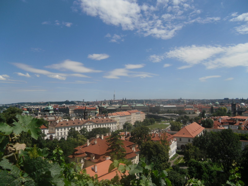 f:id:saebou:20110718222731j:image f:id:saebou:20110718222731j:image