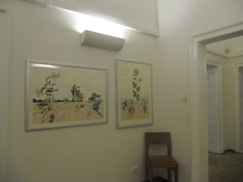 f:id:saebou:20110719231712j:image f:id:saebou:20110719231712j:image