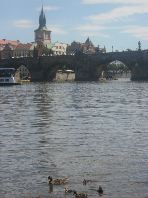f:id:saebou:20110726111554j:image