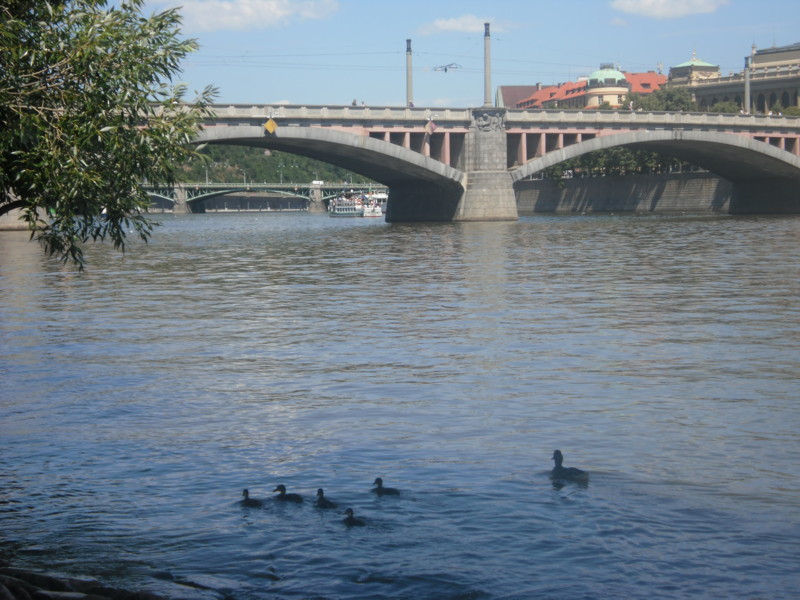 f:id:saebou:20110726111555j:image