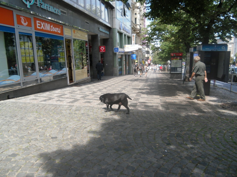 f:id:saebou:20110726111558j:image