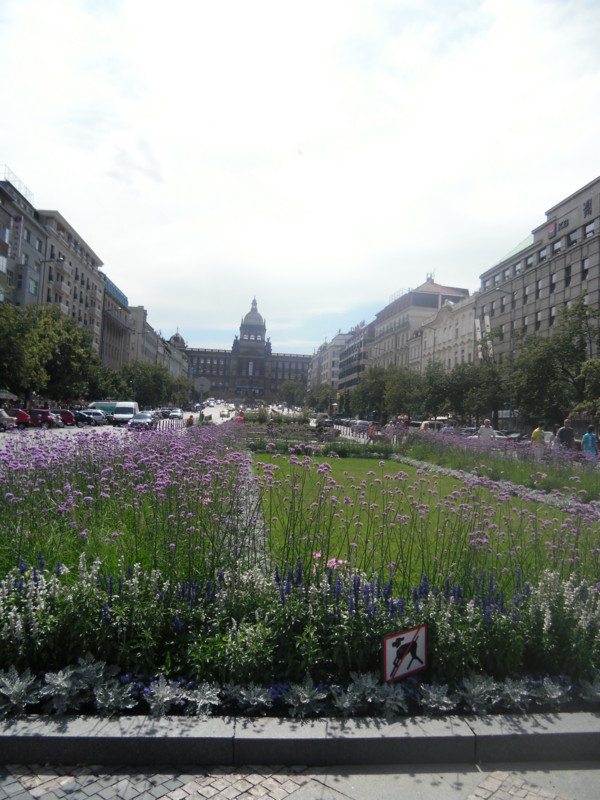 f:id:saebou:20110726111559j:image