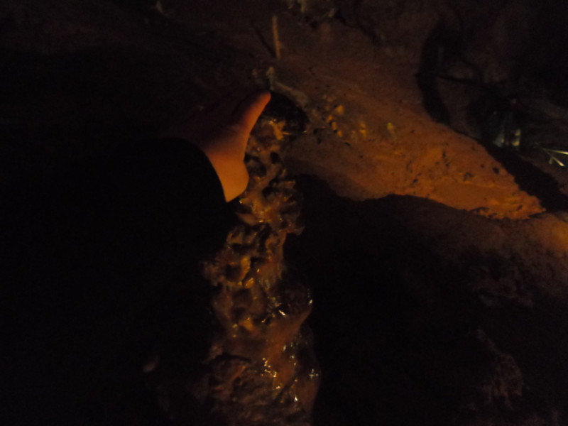 f:id:saebou:20110726224340j:image