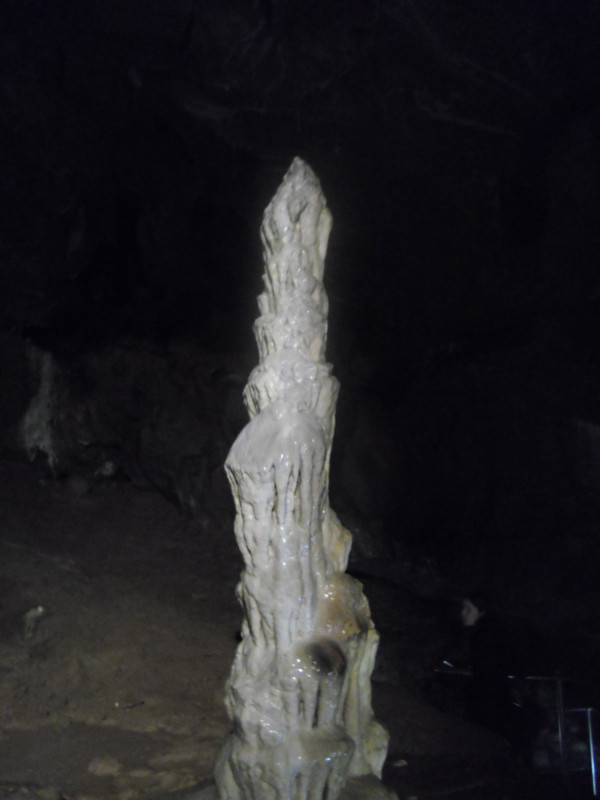 f:id:saebou:20110726224341j:image