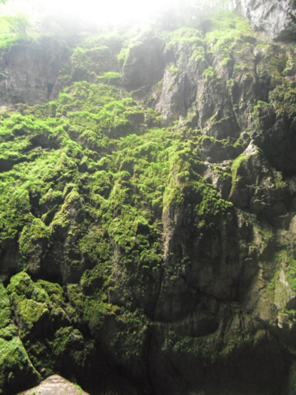 f:id:saebou:20110726230840j:image