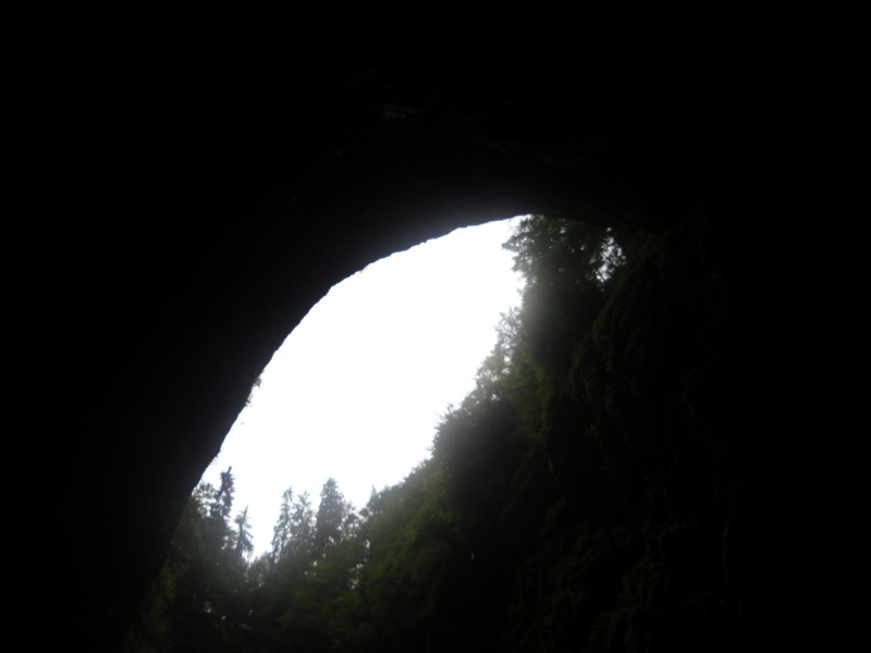 f:id:saebou:20110726230843j:image