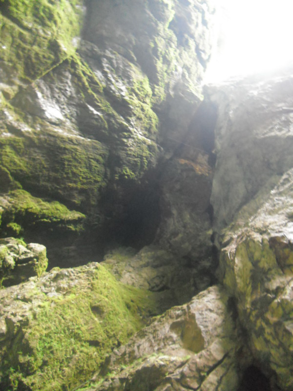 f:id:saebou:20110726232425j:image