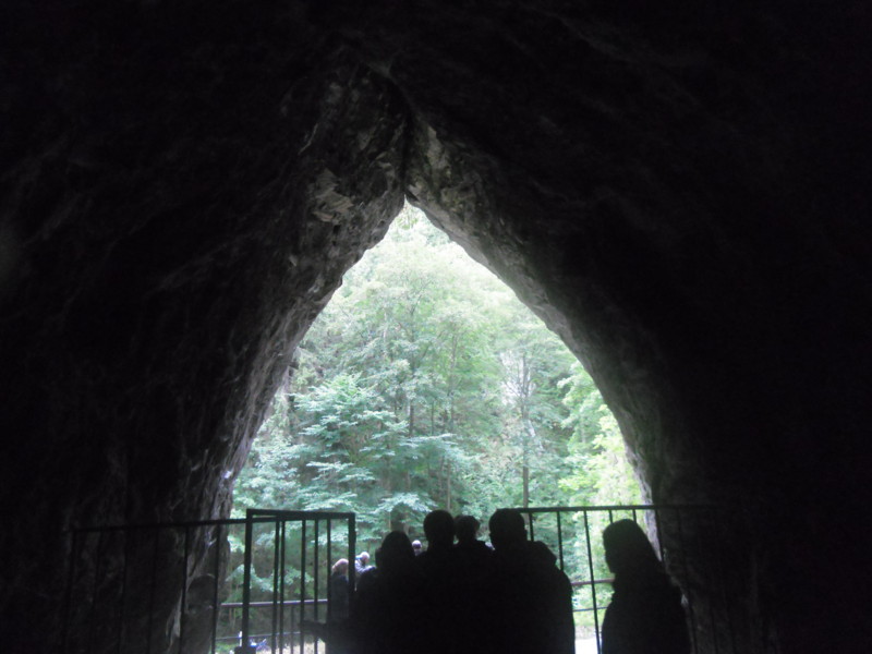 f:id:saebou:20110727102738j:image