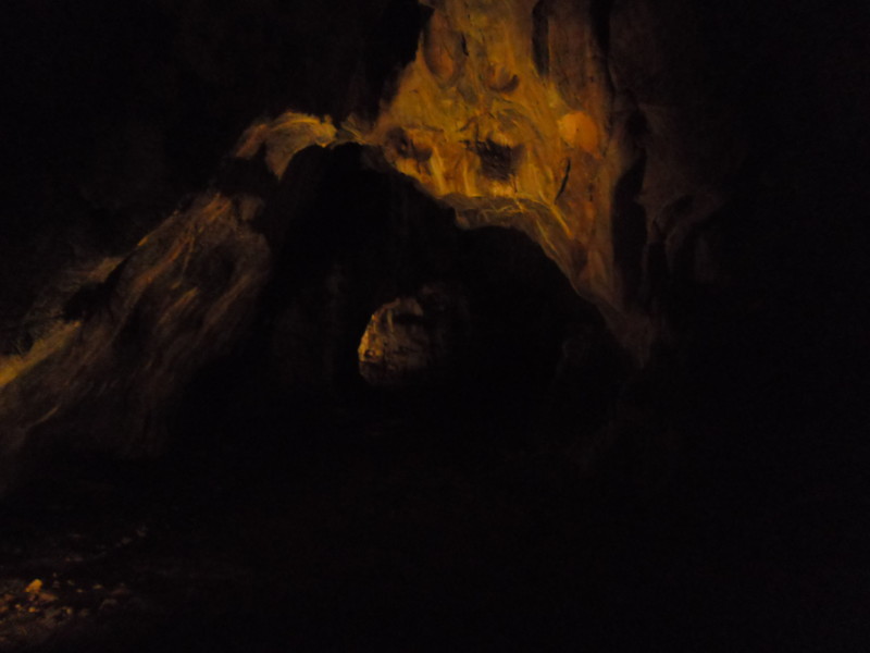 f:id:saebou:20110727102739j:image