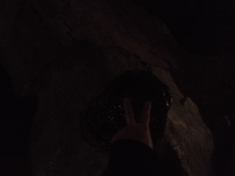 f:id:saebou:20110727111540j:image