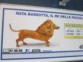 20120222181454