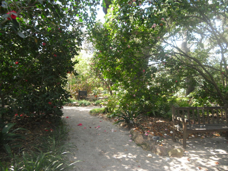 f:id:saebou:20120321195409j:image