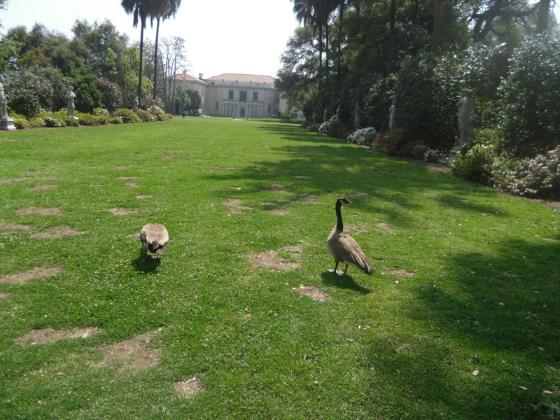 f:id:saebou:20120321195419j:image