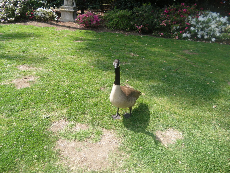 f:id:saebou:20120321195420j:image