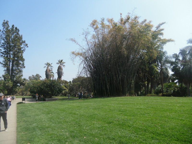 f:id:saebou:20120321195421j:image