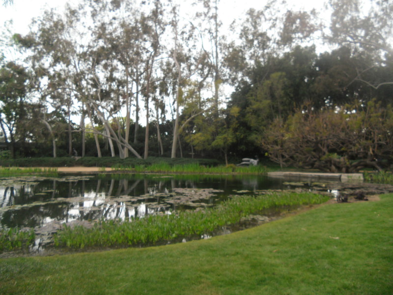 f:id:saebou:20120321210126j:image
