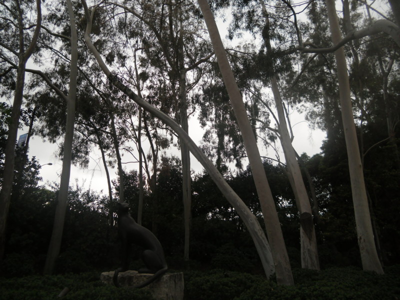 f:id:saebou:20120321210128j:image