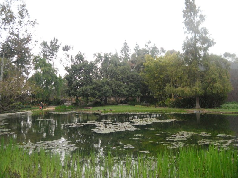 f:id:saebou:20120321210129j:image