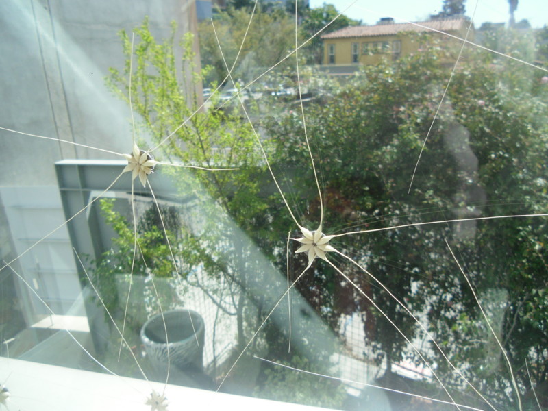 f:id:saebou:20120321210218j:image
