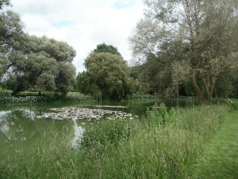 f:id:saebou:20120721133447j:image f:id:saebou:20120721133447j:image