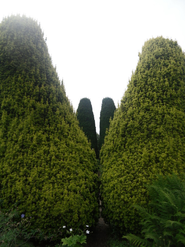 f:id:saebou:20120811090334j:image