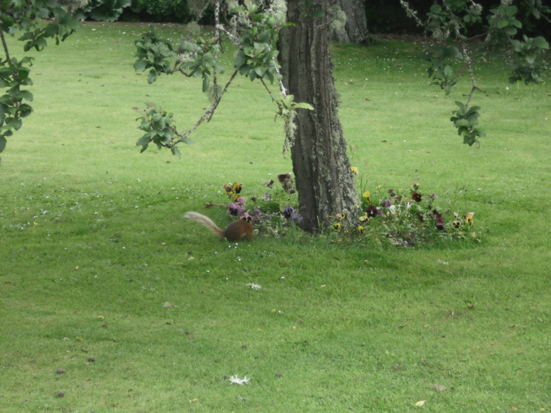 f:id:saebou:20120811090338j:image