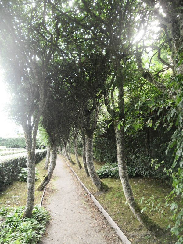 f:id:saebou:20120811090346j:image