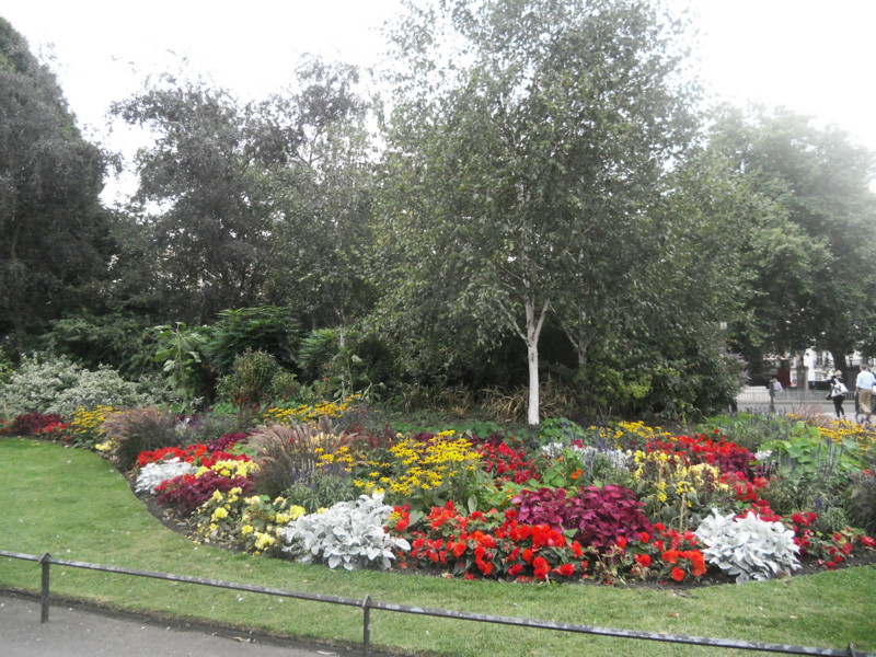f:id:saebou:20120901194358j:image f:id:saebou:20120901194358j:image