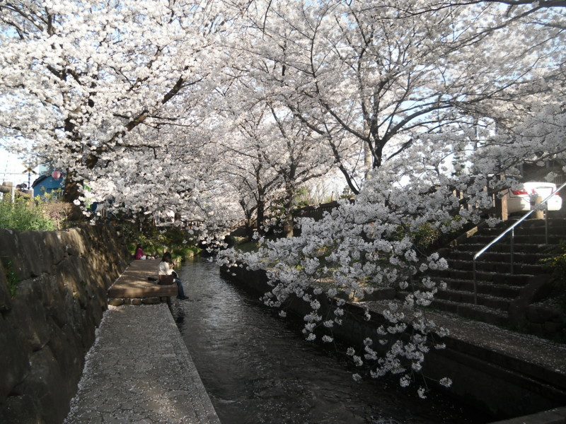 f:id:saebou:20130329161555j:image