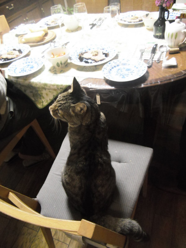 f:id:saebou:20130329161557j:image