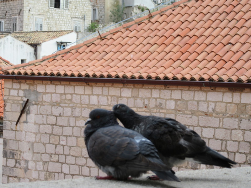 f:id:saebou:20150507070245j:image f:id:saebou:20150507070245j:image