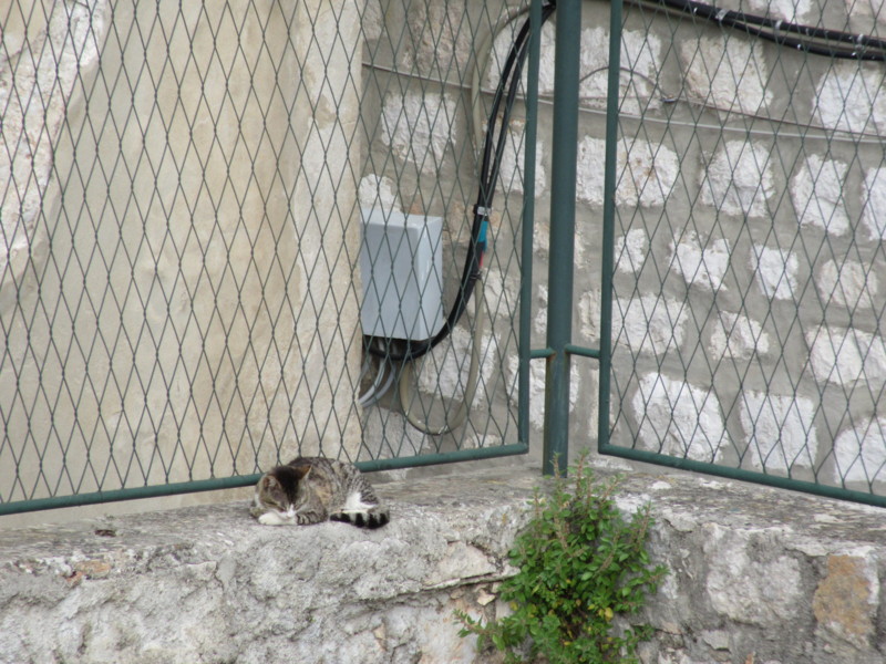 f:id:saebou:20150507070250j:image f:id:saebou:20150507070250j:image