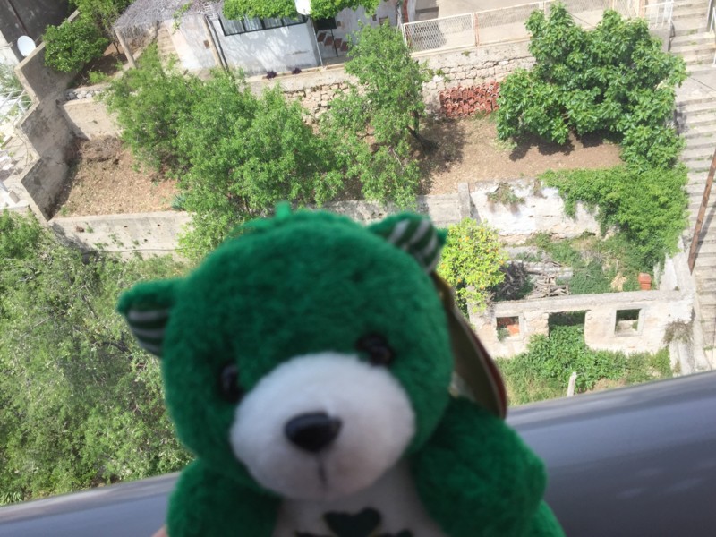 f:id:saebou:20150508194833j:image