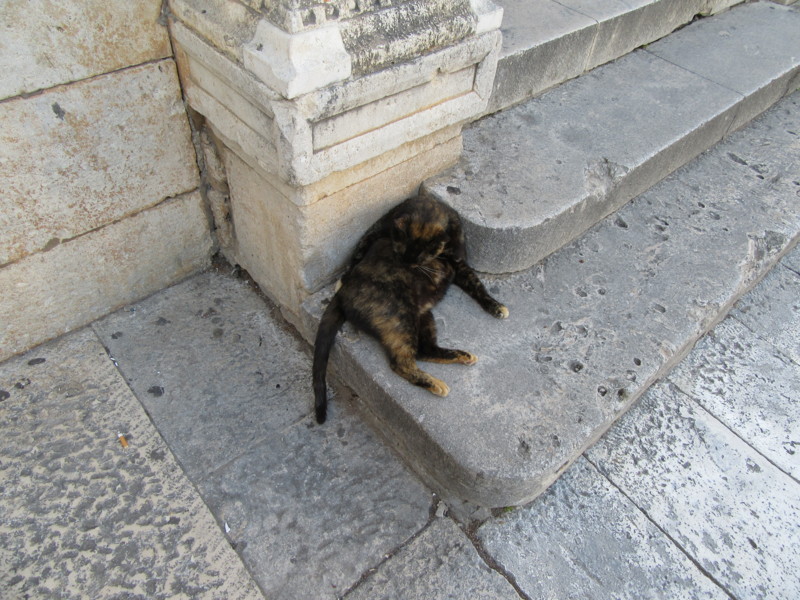 f:id:saebou:20150508203353j:image f:id:saebou:20150508203353j:image