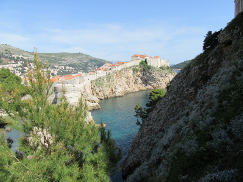 f:id:saebou:20150509163304j:image