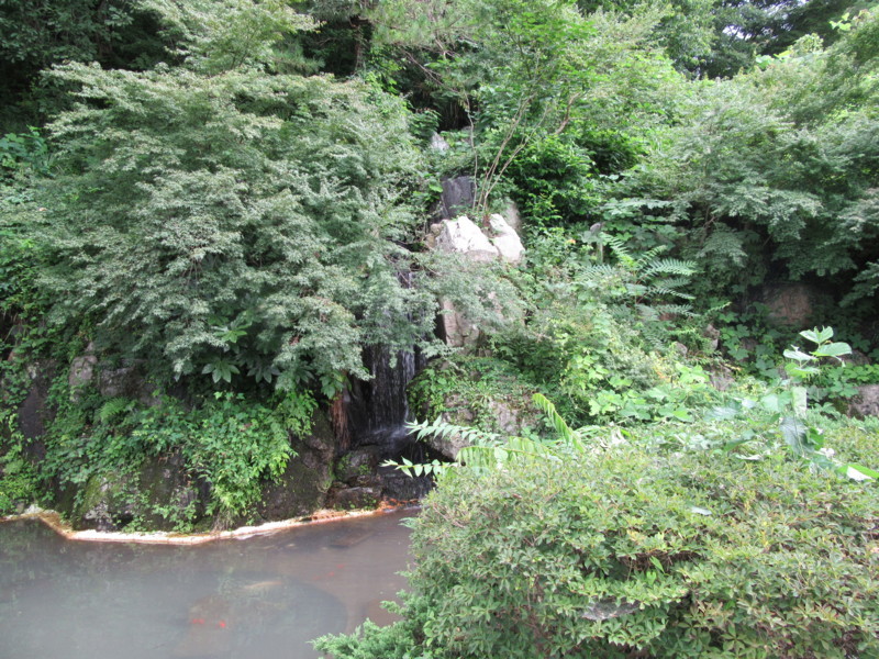 f:id:saebou:20170822114907j:image