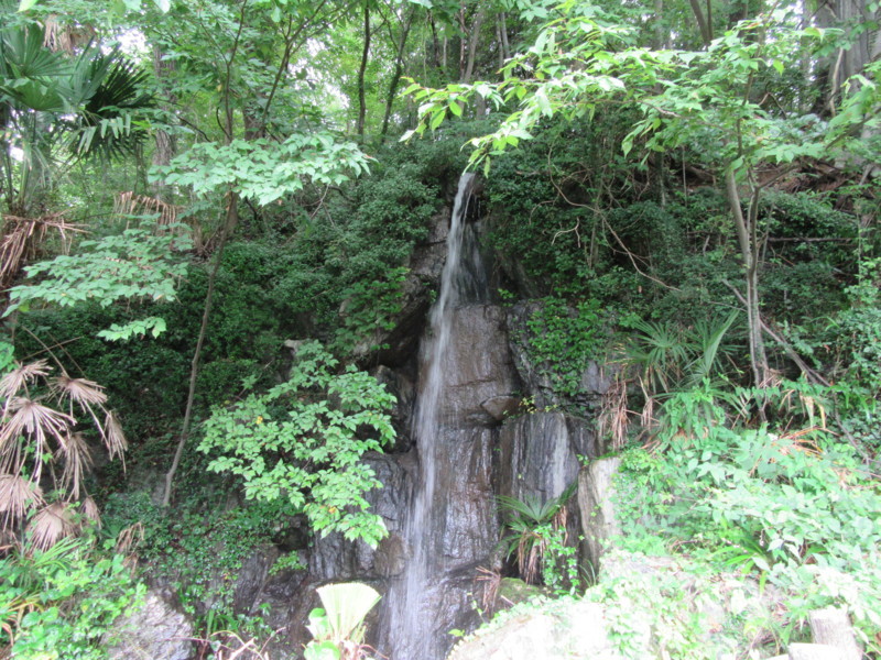 f:id:saebou:20170822114909j:image