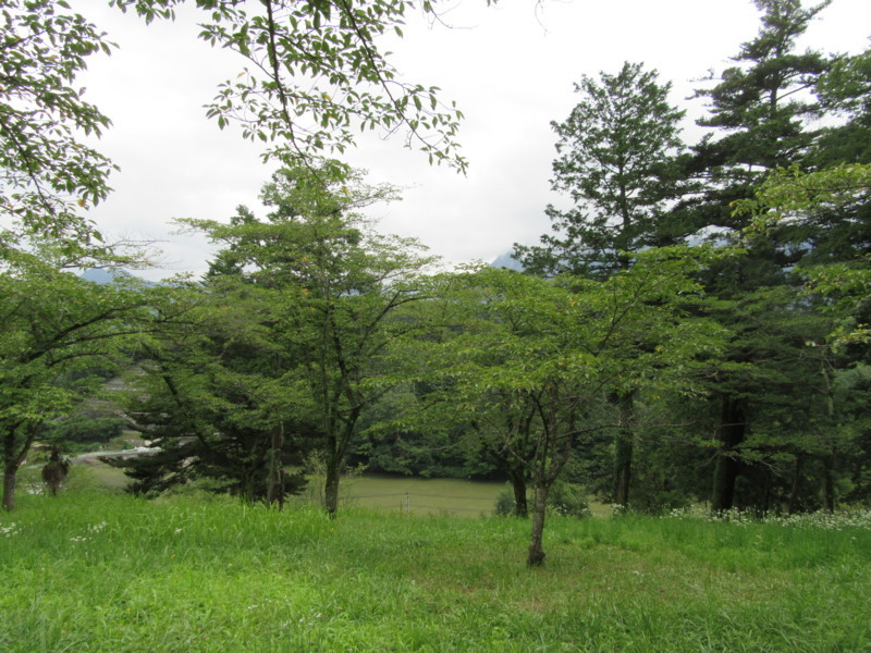 f:id:saebou:20170822114912j:image