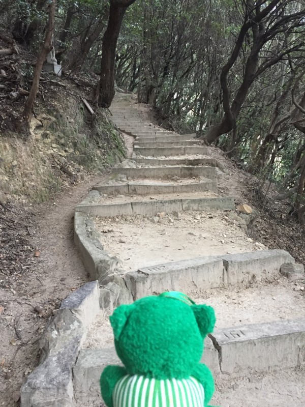 f:id:saebou:20180221233817j:image