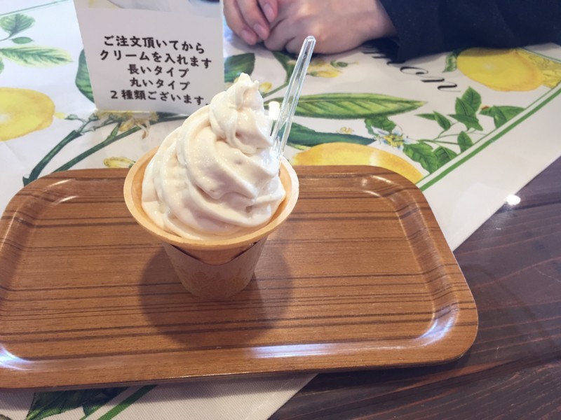 f:id:saebou:20180222214610j:image