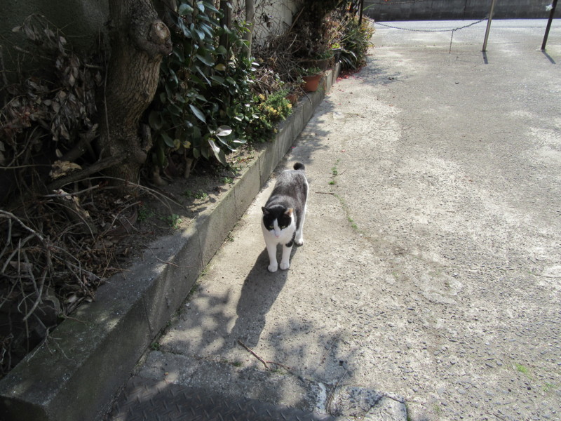 f:id:saebou:20180224231457j:image f:id:saebou:20180224231457j:image