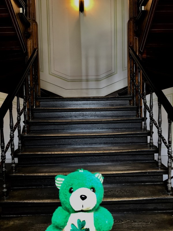 f:id:saebou:20180708215140j:image f:id:saebou:20180708215140j:image