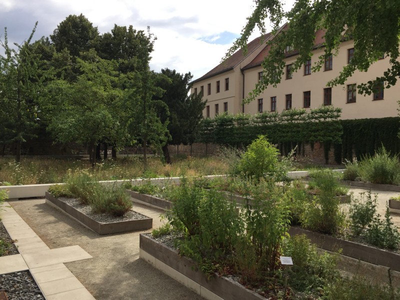 f:id:saebou:20180713210638j:image