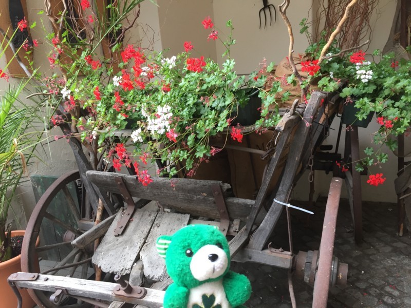 f:id:saebou:20180713210649j:image