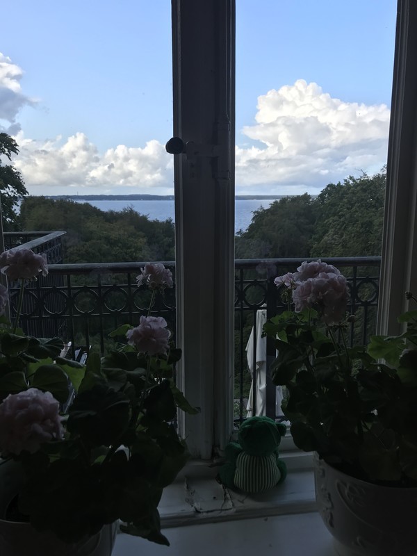f:id:saebou:20190823043346j:plain
