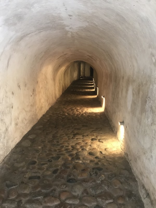 f:id:saebou:20190823045600j:plain f:id:saebou:20190823045600j:plain